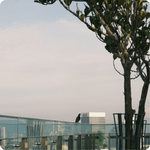 Real Balcony Glass Installations
